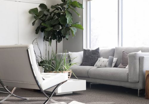 Living Room Apartment Condo Living Room Apartment Condo